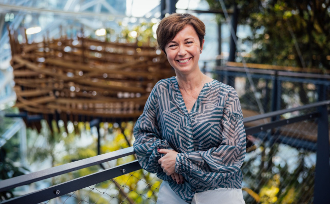 Mariangela Marseglia Amazon